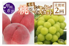 【定期便】甲州市産 厳選 もも×シャインマスカット『フルーツ定期2回便』【2025年発送】（APX）C-175 【桃 もも モモ シャインマスカット 葡萄 ぶどう ブドウ 令和7年発送 期間限定 山梨県産 甲州市 フルーツ 果物】