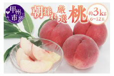 甲州市産 厳選 もも約3kg（6～12玉）【2025年発送】（APX）B15-197 【桃 もも モモ 令和7年発送 期間限定 山梨県産 甲州市 フルーツ 果物】