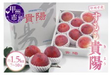 甲州市産 すもも『貴陽』約1.5kg（化粧箱中玉7～10玉）【2025年発送】（APX）B12-195 【貴陽 スモモ すもも 令和7年発送 期間限定 山梨県産 甲州市 フルーツ 果物】