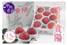 甲州市産 すもも『貴陽』約1.5kg（化粧箱中玉7～10玉）【2025年発送】（APX）B12-195 【貴陽 スモモ すもも 令和7年発送 期間限定 山梨県産 甲州市 フルーツ 果物】