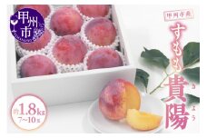 甲州市産 すもも『貴陽』約1.8kg（化粧箱大玉7～10玉）【2025年発送】（APX）B15-196 【貴陽 スモモ すもも 令和7年発送 期間限定 山梨県産 甲州市 フルーツ 果物】