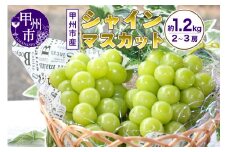 山梨の自然が産んだスイートエメラルド甲州市産シャインマスカット！約1.2kg 2房～3房【2025年発送】（UD）B-865 【シャインマスカット 葡萄 ぶどう ブドウ 令和7年発送 期間限定 山梨県産 甲州市 フルーツ 果物】