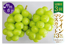 【定期便】甲州市産厳選旬のシャインマスカット1kg以上2房×3回【2026年発送】（MG）D33-101 【シャインマスカット 葡萄 ぶどう ブドウ 令和8年発送 期間限定 山梨県産 甲州市 フルーツ 果物】