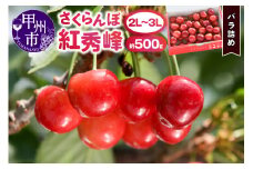 大粒さくらんぼ童夢の「紅秀峰」バラ詰め（約500g 2L～3L）【2025年発送】（DOM）C-141