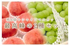 【定期便】甲州市自慢の“大玉桃6個”と“大粒シャインマスカット2房” のセット 自然農法【2025年発送】（BNC）E9-101 【桃 もも シャインマスカット 葡萄 ぶどう 令和7年発送 期間限定 山梨県産 甲州市 フルーツ 果物】