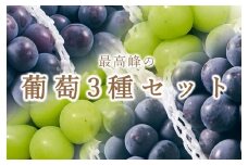 【定期便】甲州市自慢の大粒葡萄3種セット“シャインマスカット”“種無しピオーネ”“種無し巨峰” 自然農法【2025年発送】（BNC）J1-101 【シャインマスカット ピオーネ 巨峰 ぶどう 葡萄 ブドウ 令和7年発送 期間限定 山梨県産 甲州市 フルーツ 果物】