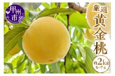甲州市産 厳選 黄金桃 約2kg（5～7玉）【2025年発送】（APX）B-870 【黄金桃 桃 もも モモ 令和7年発送 期間限定 山梨県産 甲州市 フルーツ 果物】