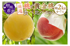 甲州市産 厳選！桃と黄金桃の食べ比べセット 約2kg（4～7玉）【2025年発送】（APX）B12-196 【黄金桃 桃 もも モモ 令和7年発送 期間限定 山梨県産 甲州市 フルーツ 果物】