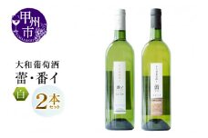 大和葡萄酒が贈る『蕾』『番イ』甲州ワイン飲み比べ２本セット（MG）B15-691