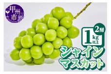 【農林水産大臣賞受賞!!】シャインマスカット2房1kg以上【2025年発送】（AGB）B12-445 【シャインマスカット 葡萄 ぶどう ブドウ 令和7年発送 期間限定 山梨県産 甲州市 フルーツ 果物】