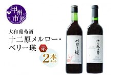 大和葡萄酒が贈る『十二原メルロー』『ベリー瑛』赤ワイン２本セット（MG）B15-694