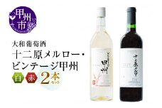 大和葡萄酒が贈る『十二原メルロー』『ビンテージ甲州』赤白ワイン２本セット（MG）B15-732