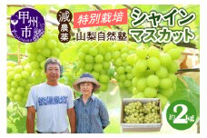 減農薬「特別栽培」やまなし自然塾の甲州市産シャインマスカット 約2kg【2025年発送】（YSGK）B18-160　【シャインマスカット 葡萄 ぶどう ブドウ 令和7年発送 期間限定 山梨県産 甲州市 フルーツ 果物】