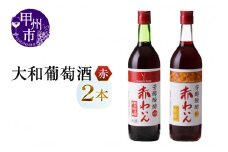 大和葡萄酒が贈る酸化防止剤無添加赤ワイン２本セット（MG）B-698