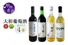 大和葡萄酒が贈る赤白4本満喫セット（MG）C8-651