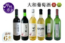 大和葡萄酒が贈る赤白6本満喫セット（MG）E1-650