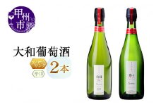 大和葡萄酒が贈る『重畳』『番イ』スパークリングワイン２本セット（MG）B15-733