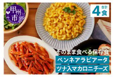【TSP024】そのまま食べる保存食4袋 2種✕各2袋（テーブルストック）B12-311