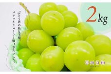 朝採れシャインマスカット 約2.0kg【2025年発送】（KSB）C-133【シャインマスカット 葡萄 ぶどう ブドウ 令和7年発送 期間限定 山梨県産 甲州市 フルーツ 果物】