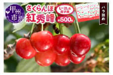 さくらんぼ童夢の「紅秀峰」バラ詰め（約500g L～2Lサイズ＆双子果）【2025年発送】（DOM）B-154