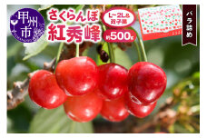 さくらんぼ童夢の「紅秀峰」バラ詰め（約500g L～2Lサイズ＆双子果）【2025年発送】（DOM）B-154