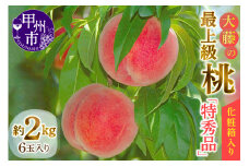 桃の一大産地『大藤の特秀品』！透過式光センサー選別化粧箱入り 約2kg【2025年発送】（MG）B12-474 【特秀品 桃 もも モモ 令和7年発送 期間限定 山梨県産 甲州市 フルーツ 果物】