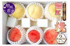 紅白桃！！農林水産大臣賞経験のある最高品質の桃を感謝を込めて朝どれでお贈りします！約2kg（4～7玉）【2025年発送】（LMS）B15-815 【桃 もも モモ 令和7年発送 期間限定 山梨県産 甲州市 フルーツ 果物】