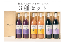 葡萄ジュース3種セット甲州”マスカット・ベーリーA”コンコード計6本(BNC)　F5-701