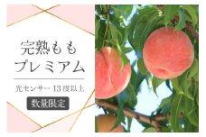 甲州市産 光センサー糖度13度以上 プレミアム桃 4～5玉【2025年発送】（VYD）B12-811 【桃 もも モモ 令和7年発送 期間限定 山梨県産 甲州市 フルーツ 果物】
