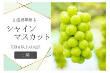 甲州市産シャインマスカット1房 大房700g以上 産地直送【2025年発送】（VYD）B-885【シャインマスカット 葡萄 ぶどう ブドウ 令和7年発送 期間限定 山梨県産 甲州市 フルーツ 果物】