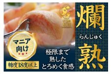 【累計20,000件突破】フルーツ王国山梨が誇る白桃ブランド 爛熟桃 約1.5kg【2025年発送】（PMK）H7-101 【桃 もも モモ 令和7年発送 期間限定 山梨県産 甲州市 フルーツ 果物】