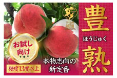 【累計20,000件突破】フルーツ王国山梨が誇る白桃ブランド 豊熟桃 約1kg【2025年発送】（PMK）B18-101 【桃 もも モモ 令和7年発送 期間限定 山梨県産 甲州市 フルーツ 果物】
