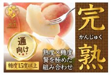 【累計20,000件突破】フルーツ王国山梨が誇る白桃ブランド 完熟桃約2kg【2025年発送】（PMK）D4-101 【桃 もも モモ 令和7年発送 期間限定 山梨県産 甲州市 フルーツ 果物】
