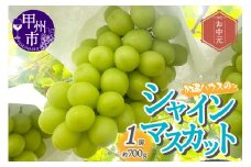 加温ハウスのシャインマスカット1房約700g入り箱【お中元対応】（FGF）B-890