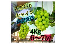 【生産者直送】甘いよ～！こだわりの大粒シャインマスカット 約4キロ（6～7房）【2025年発送】（ISI）D4-155【シャインマスカット 葡萄 ぶどう ブドウ 令和7年発送 期間限定 山梨県産 甲州市 フルーツ 果物】