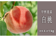 甲州市完熟白桃 『透明感ある甘さ広がる純白の果実』約1kg 3～5玉【2025年発送】（SHP）B-457 【桃 もも モモ 令和7年発送 期間限定 山梨県産 甲州市 フルーツ 果物】