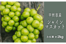 甲州シャインマスカット『果汁滴るフルーツの王様』約2kg 3～5房【2025年発送】（SHP）C-476 【シャインマスカット 葡萄 ぶどう ブドウ 令和7年発送 期間限定 山梨県産 甲州市 フルーツ 果物】