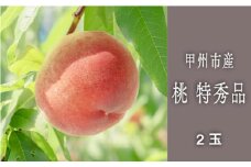 甲州市最上級桃『500分の1の奇跡』厳選2玉【2025年発送】（SHP）B-456【桃 もも モモ 令和7年発送 特秀品 期間限定 山梨県産 甲州市 フルーツ 果物】