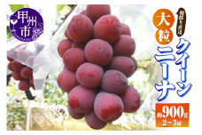 【朝採り直送】大粒クイーンニーナ（種無し）約900g（2～3房）【2025年発送】（AF）B18-412【クイーンニーナ ぶどう 葡萄 ブドウ 令和7年発送 期間限定 山梨県産 甲州市 フルーツ 果物】