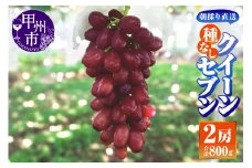 クイーンセブン(種無し)2房(400gパック×2)朝採り直送【平均糖度24度】【2025年発送】（AF）B-459【クイーンセブン ぶどう 葡萄 ブドウ 令和7年発送 期間限定 山梨県産 甲州市 フルーツ 果物】