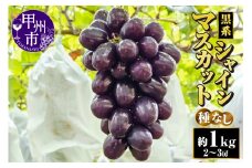 黒系シャインマスカット（種無し）約1kg（2～3房）朝採り直送【2025年発送】（AF）B18-413【黒系 シャインマスカット 葡萄 ぶどう ブドウ 令和7年発送 期間限定 山梨県産 甲州市 フルーツ 果物】