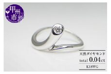 指輪 天然 ダイヤモンド 0.04ct ピンキー【K18ホワイトゴールド】r-06（KRP）G56-1410