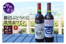 勝沼ぶどうの丘推奨 赤ワイン（ライトボディ）2本セット（KBO）B17-602【ワイン 赤ワイン 甲州市 山梨県】