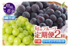 【定期便】旬のフルーツ2回定期便（巨峰・シャインマスカット）【2025年発送】（HK）C1-441