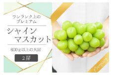 甲州市産プレミアムシャインマスカット2房 約1.2kg【2025年発送】（VYD）B18-886【シャインマスカット 葡萄 ぶどう ブドウ 令和7年発送 期間限定 山梨県産 甲州市 フルーツ 果物】