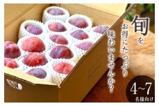 甲州市産 訳あり貴陽 約3kg 自然農法【2025年発送】（BNC）C9-492 【貴陽 スモモ 令和7年発送 期間限定 山梨県産 甲州市 フルーツ 果物】