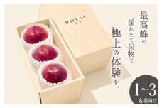 甲州市産 大玉貴陽 3個入り 約800g 自然農法【2025年発送】（BNC）B-488【貴陽 すもも 令和7年発送 期間限定 山梨県産 甲州市 フルーツ 果物】