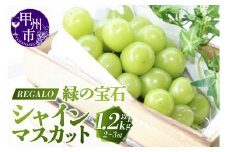 頬張る幸福感 ～緑の宝石・シャインマスカット～ 1.2kg以上（2～3房）【2025年発送】（RG）B-843 【シャインマスカット 葡萄 ぶどう ブドウ 令和7年発送 期間限定 山梨県産 甲州市 フルーツ 果物】