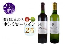 ホンジョーワイン贅沢赤白飲み比べセット（MG）B15-699