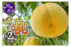 厳選！山梨県甲州市産 黄金桃 約2kg【2025年発送】（THR）B-805 【黄金桃 桃 もも モモ 令和7年発送 期間限定 山梨県産 甲州市 フルーツ 果物】